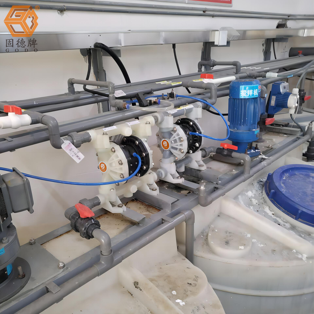 IMG_20240123_102937 IMG_20240123_102937