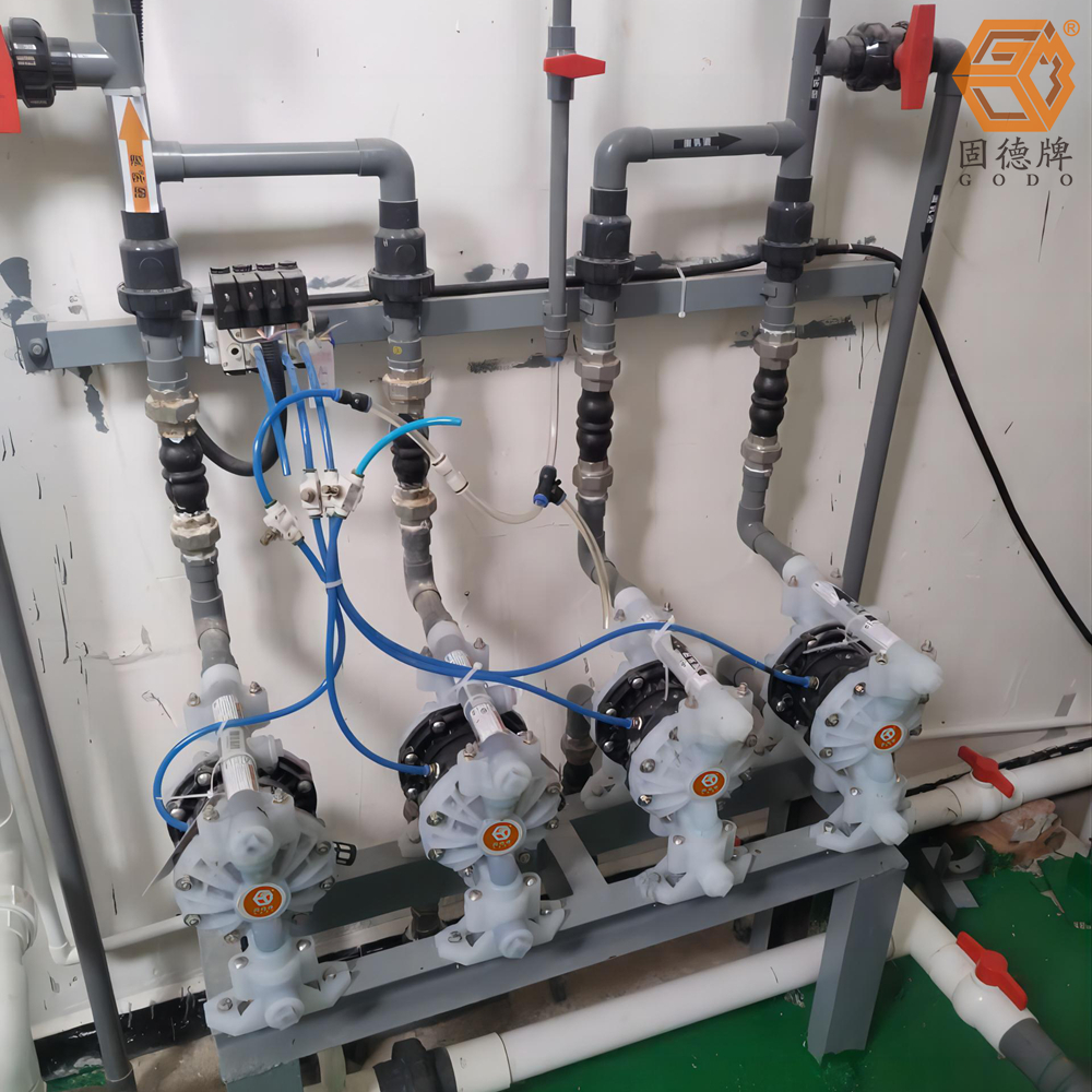 IMG_20240123_103417 IMG_20240123_103417